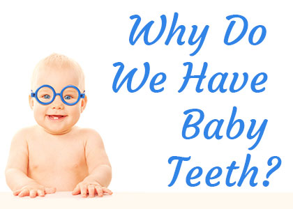 Fuquay Family Dentistry explain why we have baby teeth